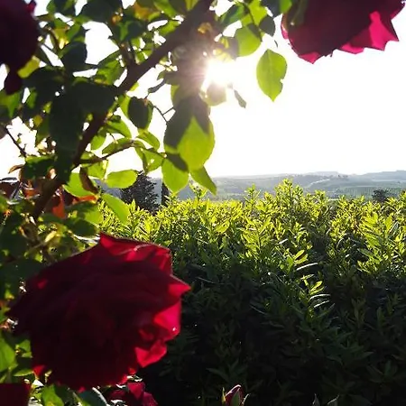 Sunset Hill - Tuscany - & Private Pool Holiday home *