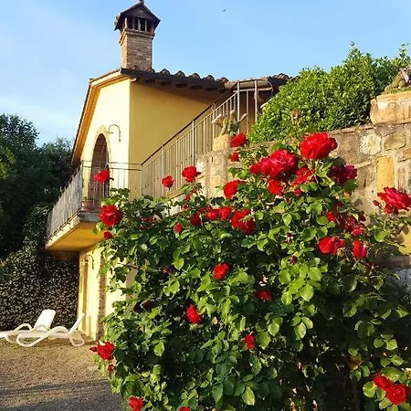 Sunset Hill - Tuscany - & Private Pool Holiday home Castelfiorentino